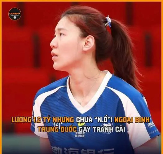 _越南v1联赛_越南联赛冠军