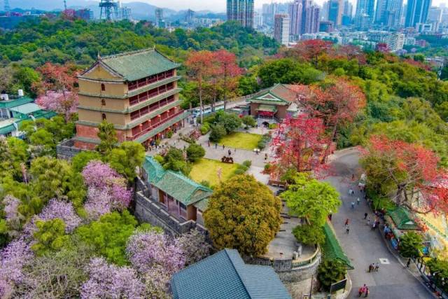 巧了，燃了！越秀山体育场迎来100岁生日，今晚“上山睇波”_巧了，燃了！越秀山体育场迎来100岁生日，今晚“上山睇波”_