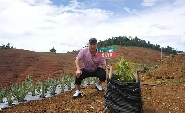 伦敦奥运羽毛球_伦敦奥运会羽毛球教练_