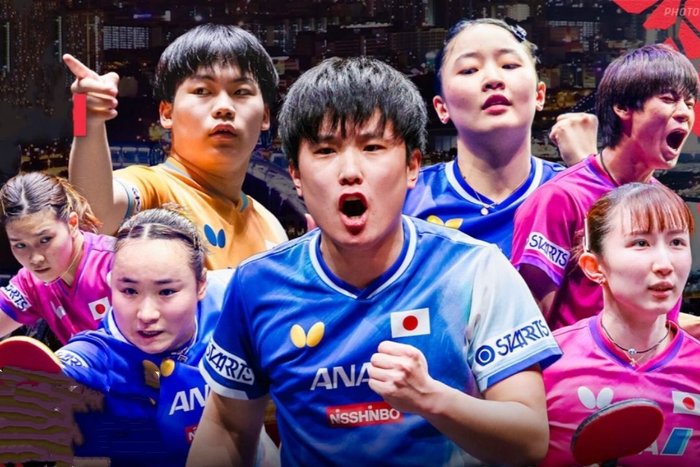 _乒联世锦赛_乒乓球伦敦世界杯