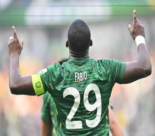 国安主帅现状_国安下赛季新主帅_