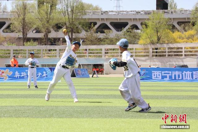 青海“棒”少年角逐赛场展风采_青海“棒”少年角逐赛场展风采_