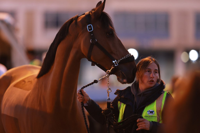 上海环球马术冠军赛2021__赛事排位表(本地)环球赛马