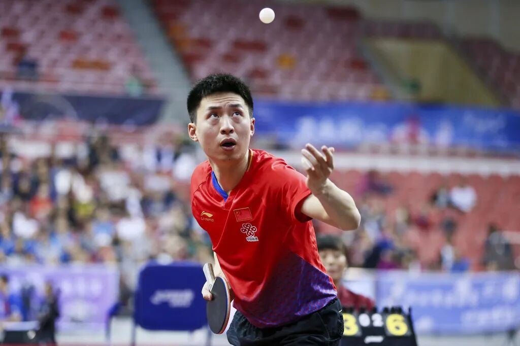 糊涂塌客图片__糊涂塌客是什么鸟