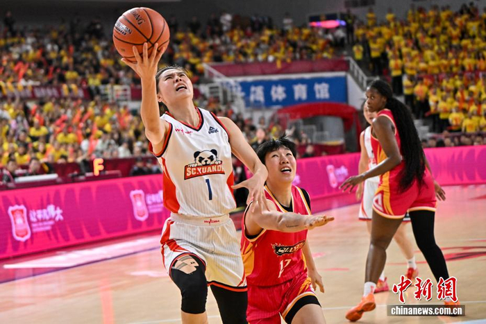 _山西竹叶青队_荷兰足球队夺得那一个杯冠军